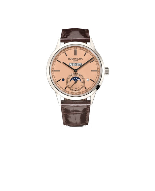 PATEK PHILIPPE Super Complex function Timepiece Series Automatic mechanical movement waterproof Date Week/Month Display Perpetual calendar Men's watch Swisswatch 40mm brown dial