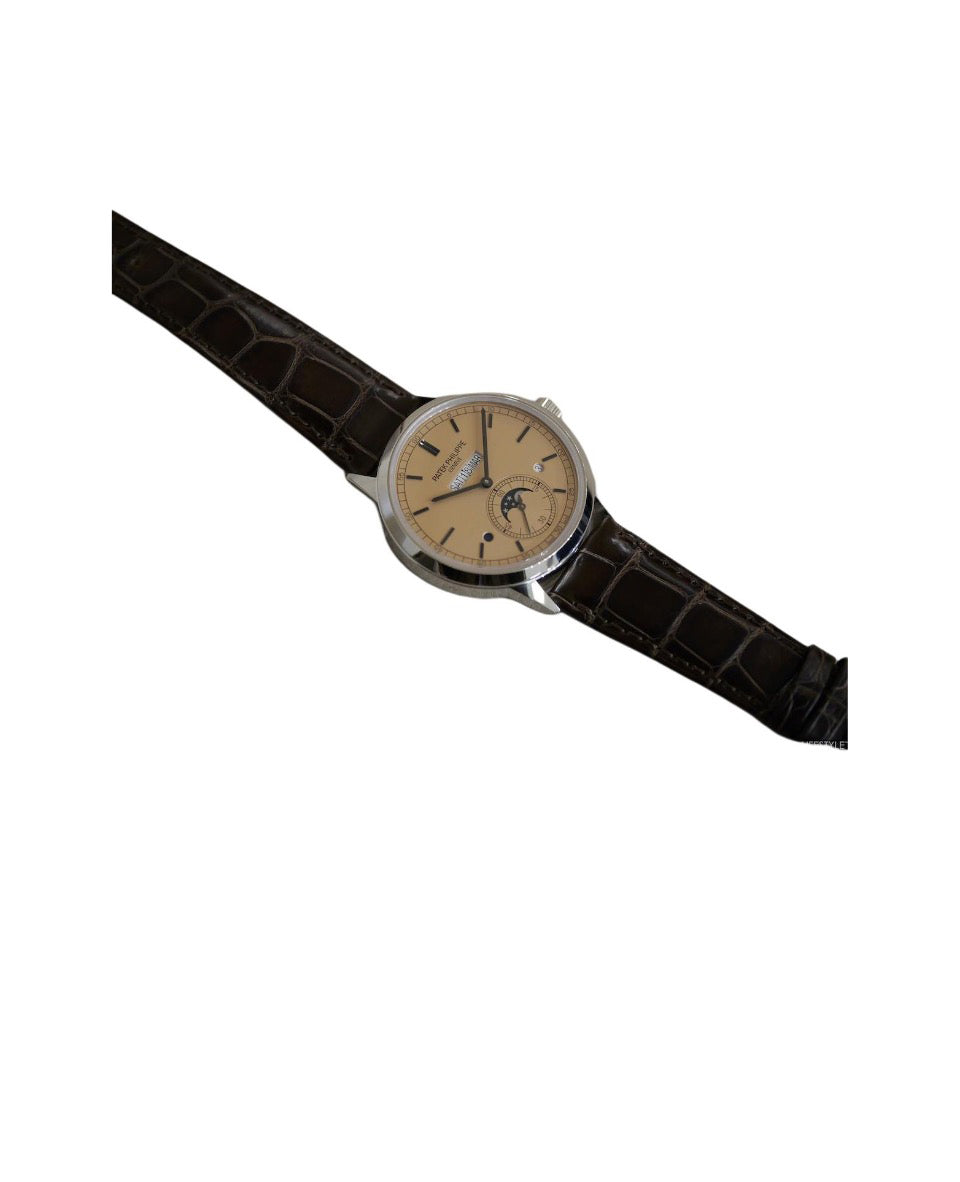PATEK PHILIPPE Super Complex function Timepiece Series Automatic mechanical movement waterproof Date Week/Month Display Perpetual calendar Men's watch Swisswatch 40mm brown dial